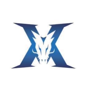 力的最直接 力的最直接