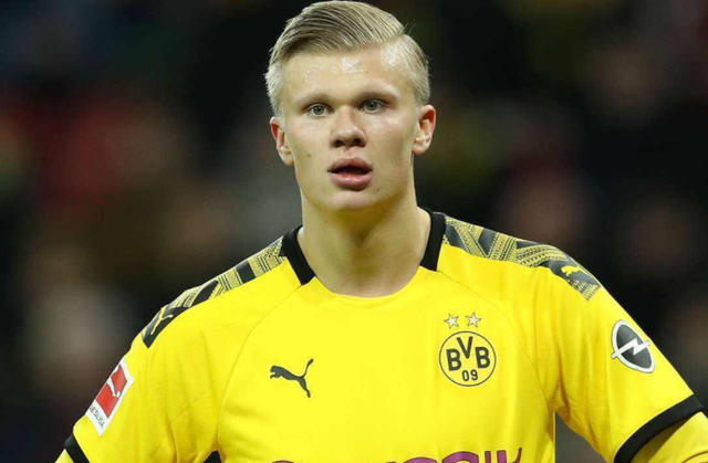 映照战术脉 映照战术脉